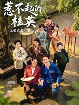 09.惹不起的桂英之张老太重生记（81集）张媛媛＆海颜