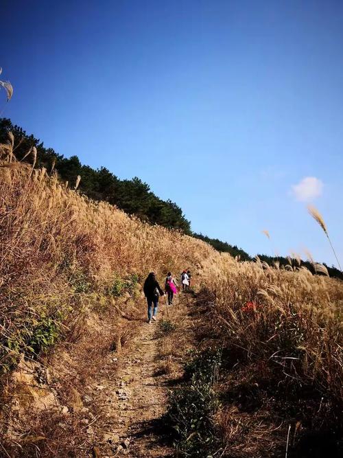 75.晚棠栖山野第一季（155集）