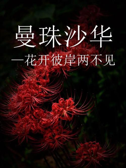 🔥94.十世轮回，骨上生花（45集）