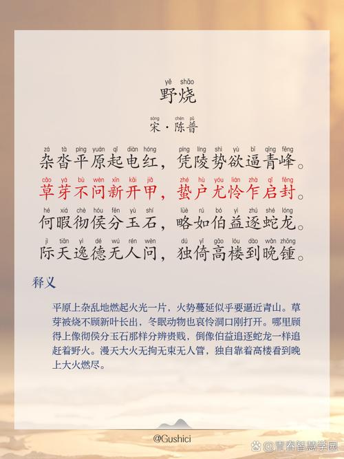 196.野火烧不尽（40集）