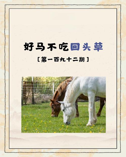 214.将军，好马不吃回头草（70集）